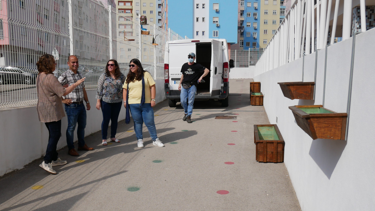 Floreiras contribuem para o projeto "Muros com Vida"