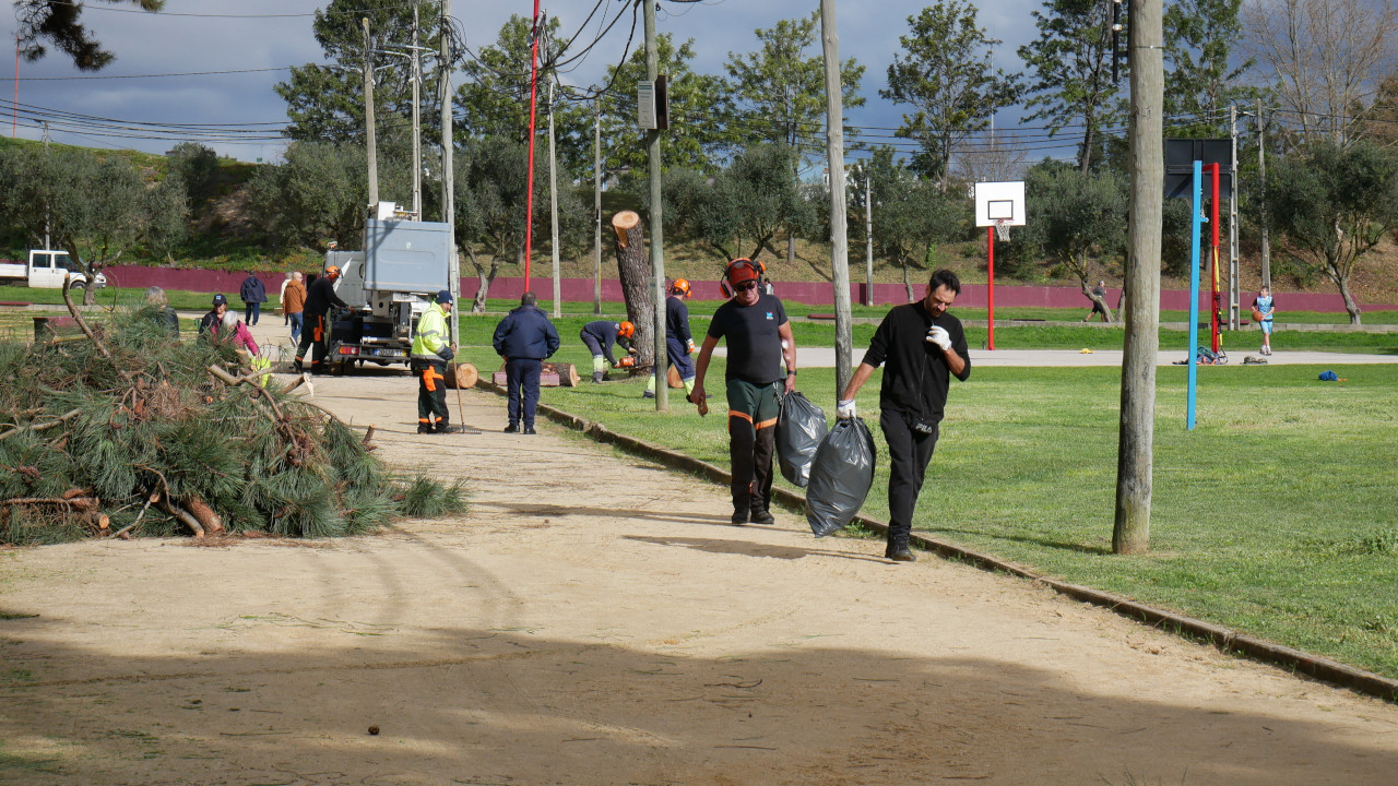 Operação de limpeza e desmatação no Parque Urbano