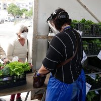 Cabazes de fruta e legumes no Mercado de Levante