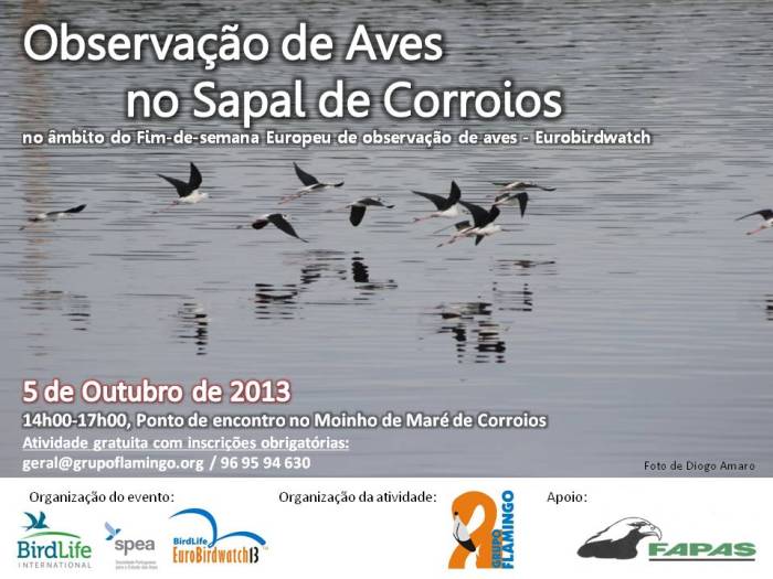 Observação de Aves no Sapal de Corroios