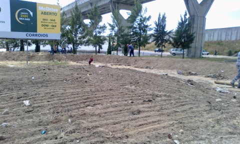 Novo espaço verde na rua Cidade de Almada