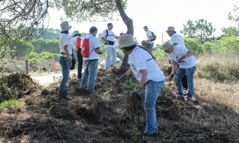 Corroios produz mil árvores autóctones