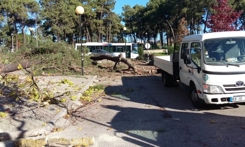 Intervenção na Alameda 25 de Abril em Miratejo  Junta de Freguesia de