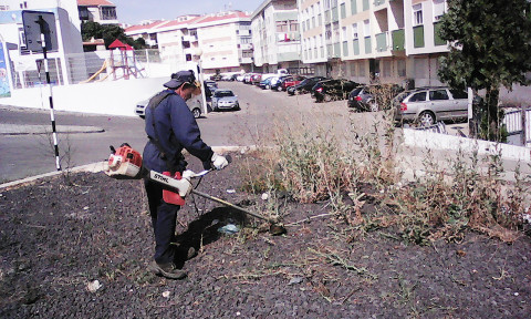 Limpeza na Avenida Vale de Milhaços