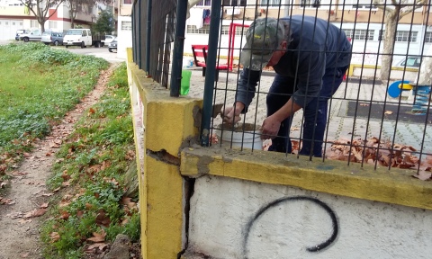 Arranjo dos muros e pintura da vedação