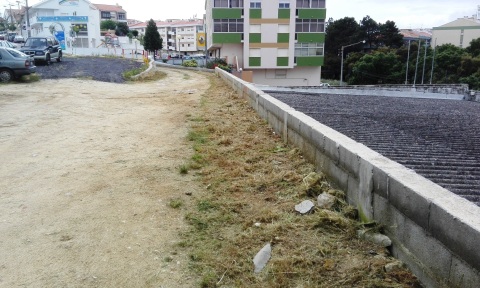 Limpeza e corte de ervas na Av. Vale de Milhaços