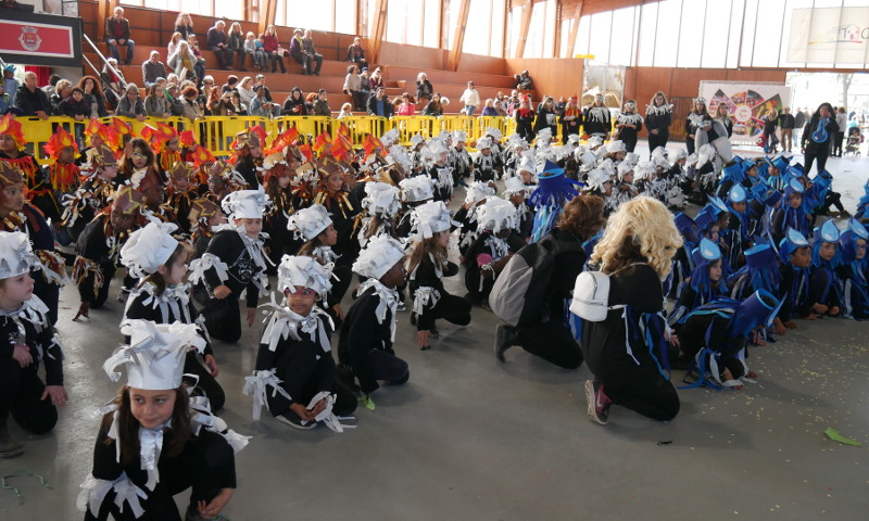 Carnaval das Escolas juntou 1600 crianças