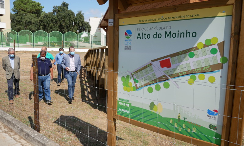 Espaço agrícola do Alto do Moinho em funcionamento