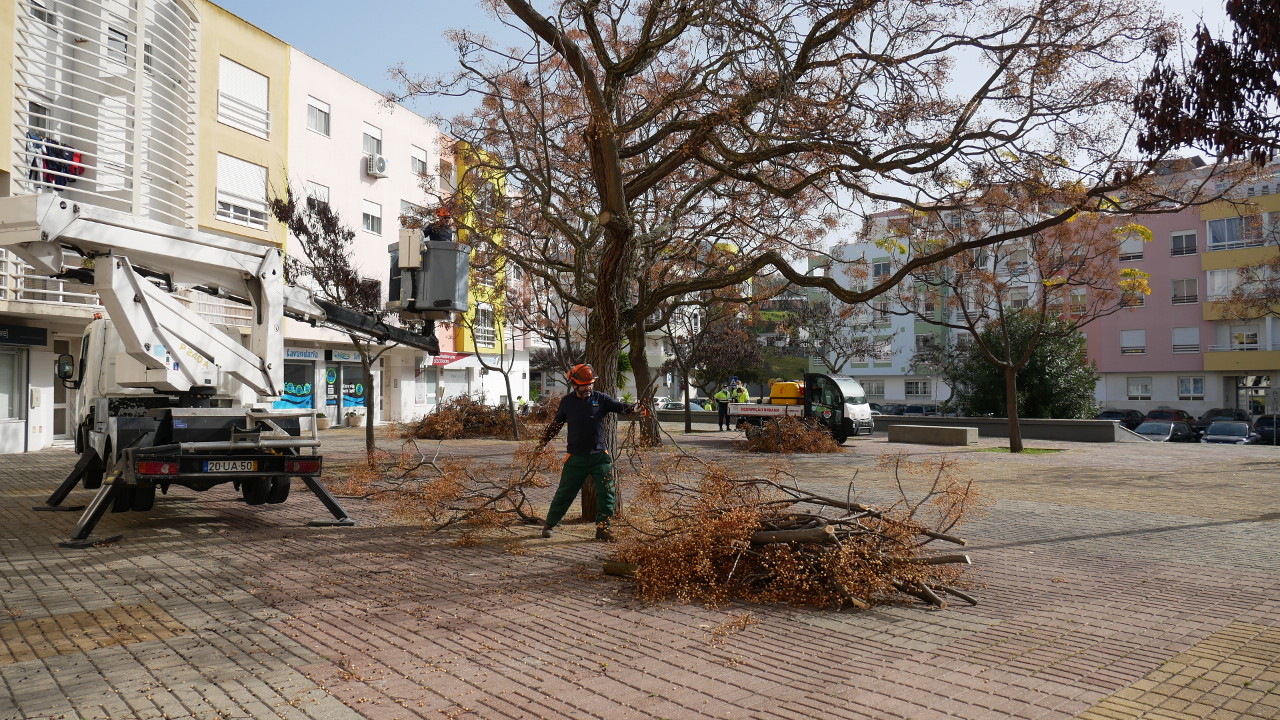 Ação de limpeza urbana nas ruas da Quinta da Marialva