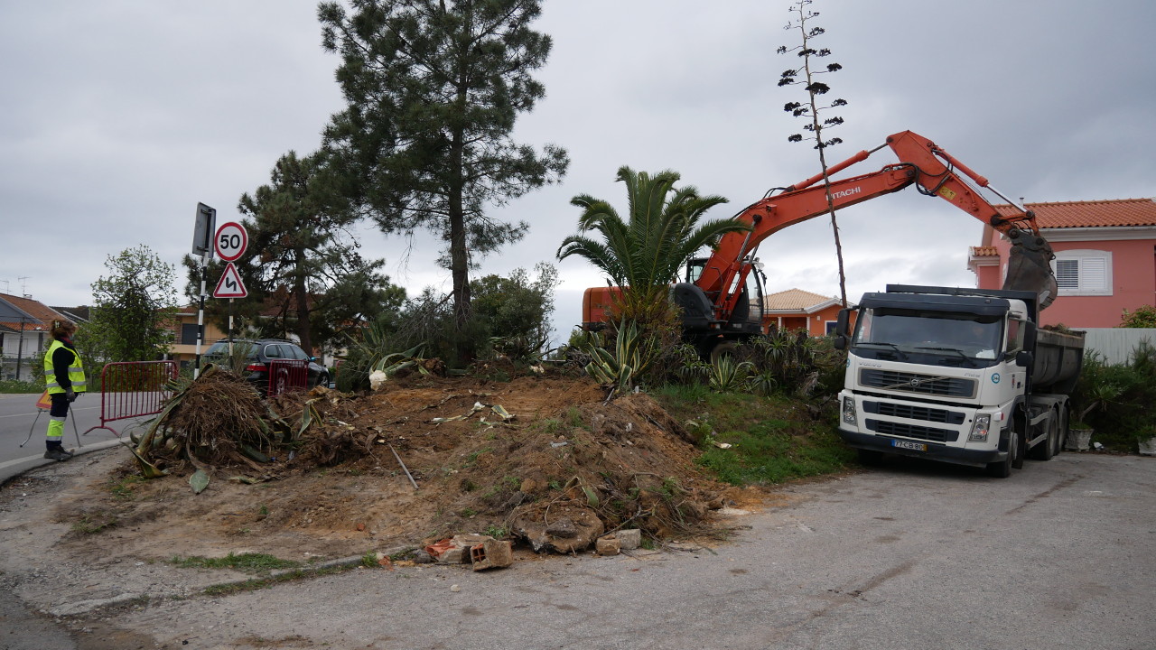 Limpeza e desmatação de zona verde em Vale de Milhaços