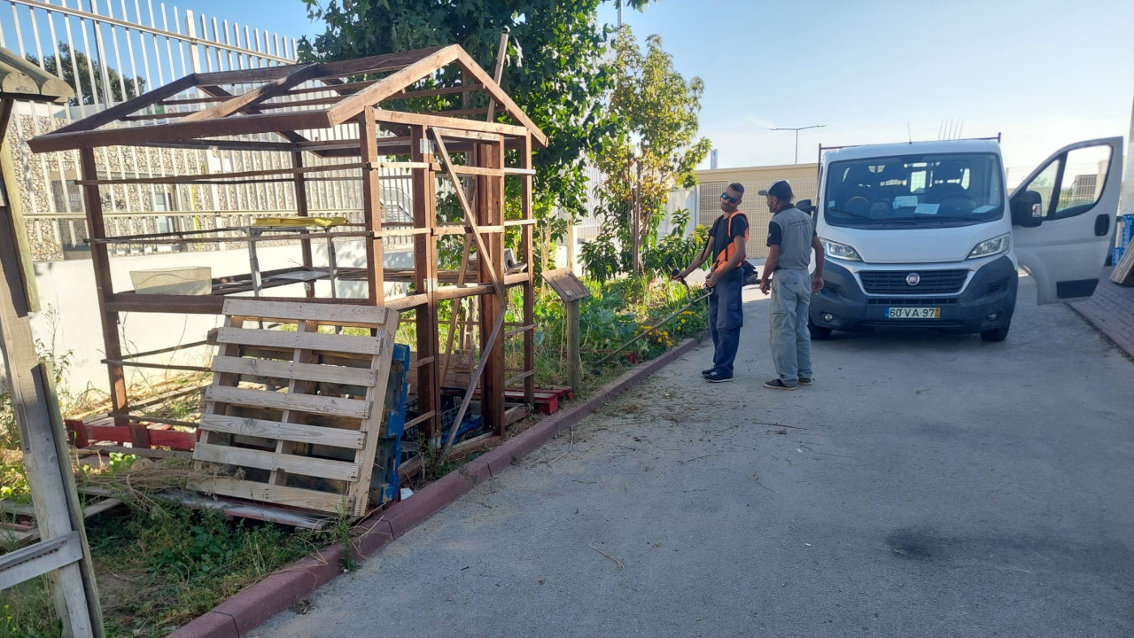 Limpeza de sumidouros e logradouros nas Escolas e Jardins-de-Infância