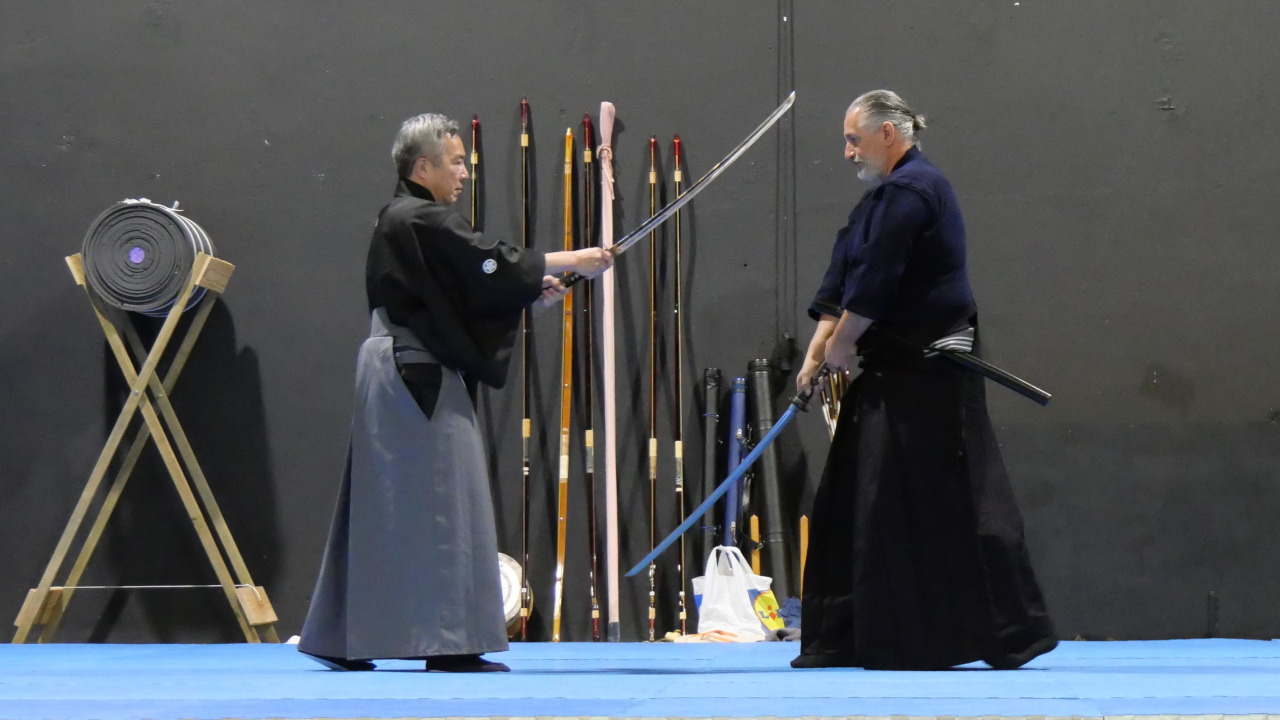 Iniciativa Nihon Budo Sai celebrou a cultura Japonesa