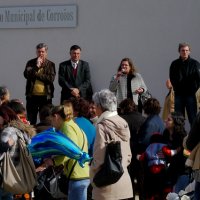 Desfile de Carnaval 2014