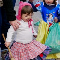 Desfile de Carnaval 2014