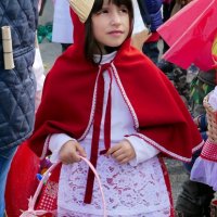 Desfile de Carnaval 2014