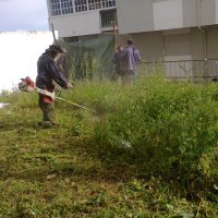 Remoção e corte de ervas