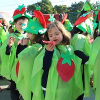 Desfile de Carnaval 2015