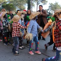 Desfile de Carnaval 2015