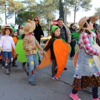 Desfile de Carnaval 2015