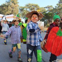 Desfile de Carnaval 2015