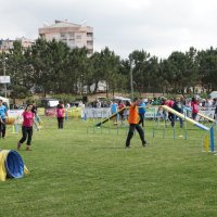 Agility Corroios 2016