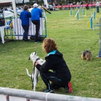 Agility Corroios 2016