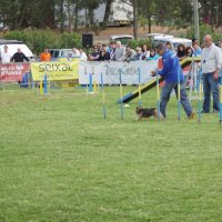 Agility Corroios 2016