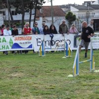 Agility Corroios 2016