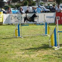 Agility Corroios 2016