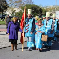 Desfile de Carnaval 2016