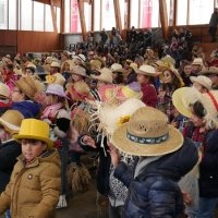 Desfile de Carnaval 2018