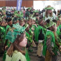 Desfile de Carnaval 2018