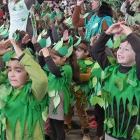 Desfile de Carnaval 2018