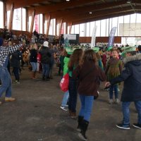 Desfile de Carnaval 2018