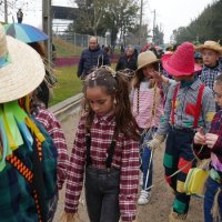 Desfile de Carnaval 2018