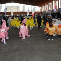 Desfile de Carnaval 2018