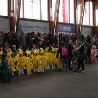 Desfile de Carnaval 2018