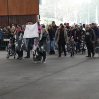 Desfile de Carnaval 2018