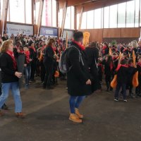 Desfile de Carnaval 2018