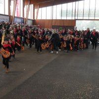 Desfile de Carnaval 2018