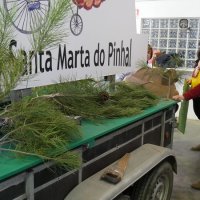 Desfile de Carnaval 2018