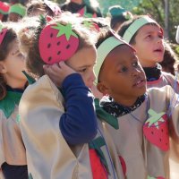 Desfile de Carnaval das Escolas 2020