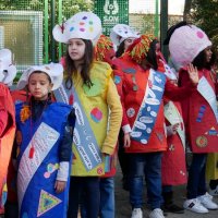 Desfile de Carnaval das Escolas 2020