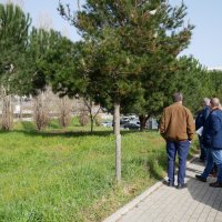 Ação de limpeza urbana nas ruas da Quinta da Marialva