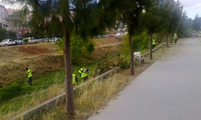 Manutenção na Quinta da Marialva