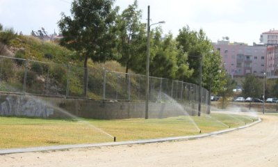 Quinta operacional após as Festas