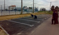 Mais e melhor estacionamento